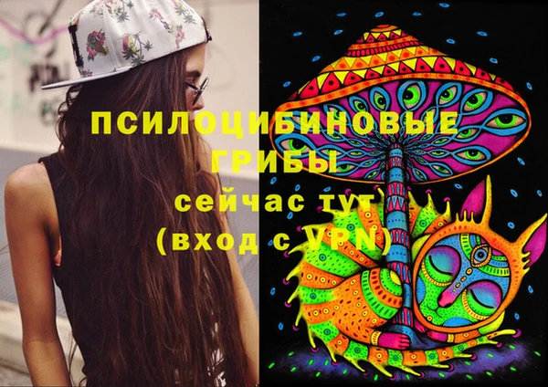 дживик Абинск