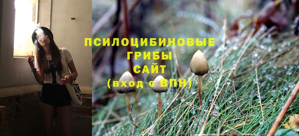 эйфоретик Алзамай
