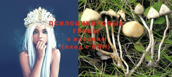 дживик Абинск